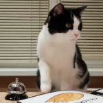 ویدئو :   وقتی گربه ها میرن رستوران (مطلب)