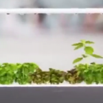 ویدئو :   تاثیر گجت های هوشمند در ایجاد هوای پاک