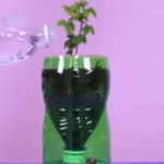 ویدئو : خلق کاردستی های پرکاربرد با بطری های پلاستیکی (مطلب)