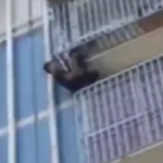 ویدئو :  نجات کودک آویزان از نرده محافظ پنجره (مطلب)