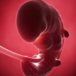 ویدئو :  4 سفر 9 ماهه کودک در رحم مادر : تکامل جنین در رحم (مطلب)