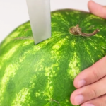 ویدئو :  9 روش پوست کندن هندوانه