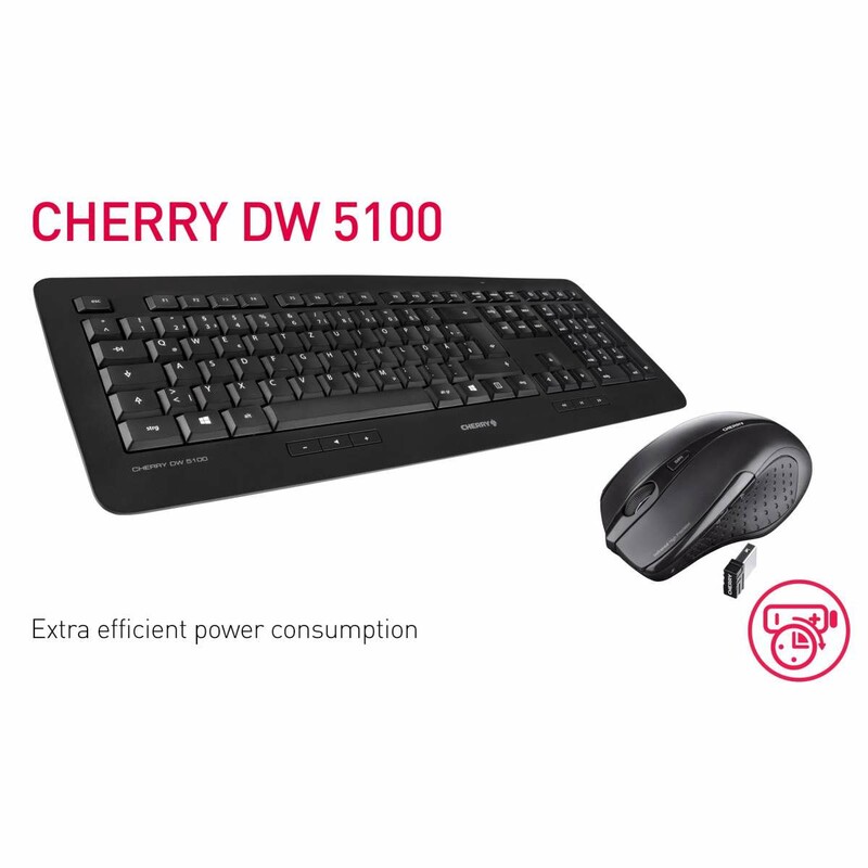 ست موس و کیبورد بی سیم ارگنومیک چری DW 5100