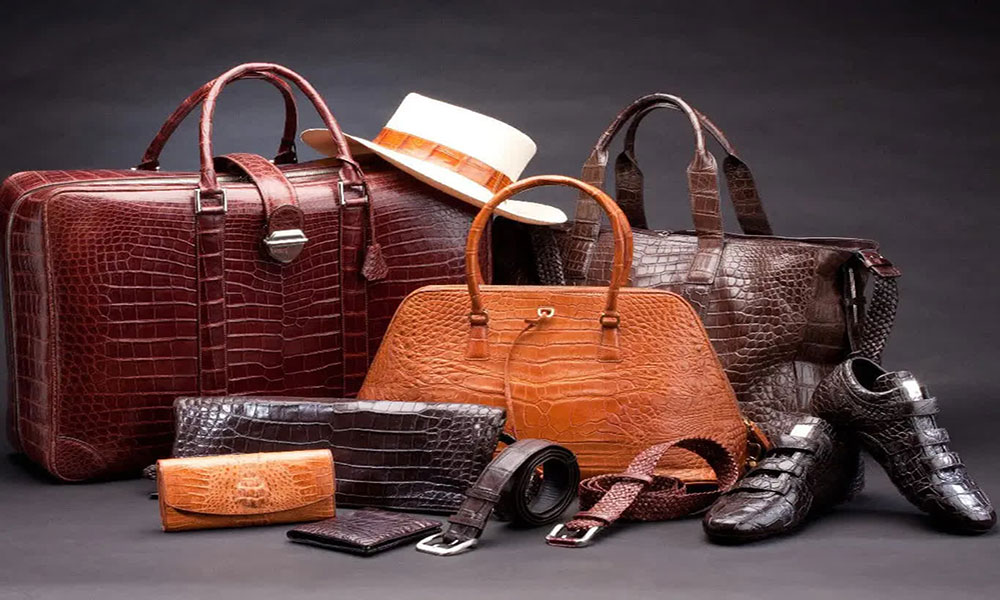 اصول نگهداری کیف و کفش چرمی و راهنمای ساده برای افزایش عمر چرم