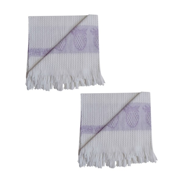 دستمال آشپزخانه تام کلین مدل TC-HC002C بسته 2 عددی