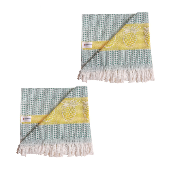دستمال آشپزخانه تام کلین مدل TC-HC003C بسته2عددی