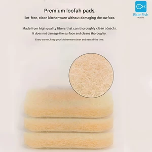 برس ظرفشویی دیواری با پد اسکاچ قابل تعویض و مخزن مایع شوینده