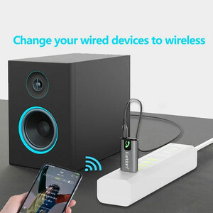 دانگل ارلدام برای اسپیکر