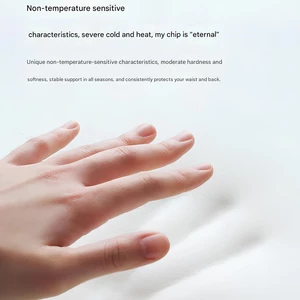 پشتی طبی صندلی و ماساژور کمری شیائومی با پشتیبانی حرفه‌ای از کمر و ستون فقرات