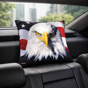 کوسن پشت شیشه خودرو تام کلین