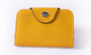 جا کارتی چرمی برند چرمین مدل آریا