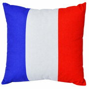 کوسن شیشه عقب خودرو تام کلین Tamclean طرح پرچم فرانسه 35*35 تک عددی