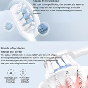 قیمت سری یدکی مسواک برقی شیائومی