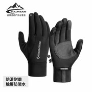 دستکش زمستانی اسکی گولووجوی