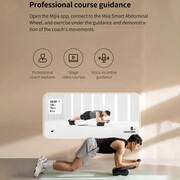 خرید چرخ ورزشی شکم میجیا شیائومی