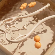 کیفیت ماساژور گردن دستی چند منظوره