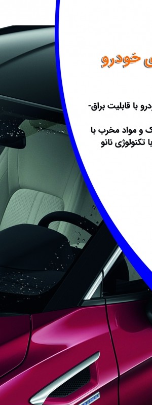 کنسانتره شیشه شوی خودرو یک در بیست تام کلین مدل TC-DG1000Y21
