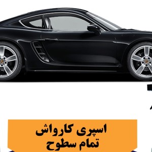 اسپری کارواش بدون آب تمام سطوح تام کلین مدل TC_DB480Y22 حجم 480 میلی لیتر
