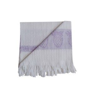 دستمال آشپزخانه تام کلین مدل TC-HC002C بسته 2 عددی