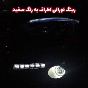 پروژکتور تایگر اصلی بسته دو عددی