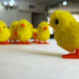 اسباب بازی کوکی متحرک مدل جوجه رنگی