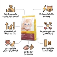غذای خشک بچه گربه جوسرا مدل کیتن (Josera Kitten) - وزن ۱ کیلوگرم (فله)