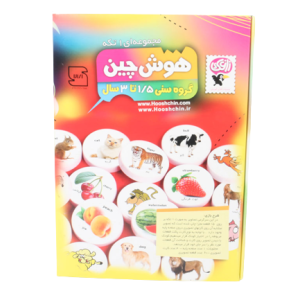 پازل هوش چین یک تکه