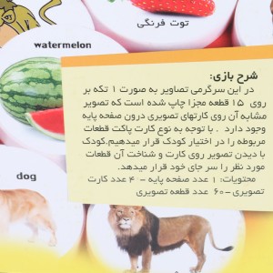 پازل هوش چین یک تکه
