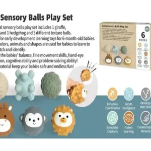 توپ حسی و دست ورزی شش عددی SENSORY BALL