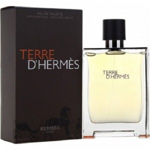 عطر ادکلن هرمس تق  دی هرمس ادو تویلت 100 میل | Hermes Terre d’Hermes EDT