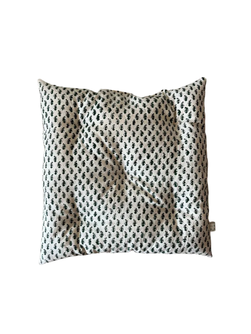 تشکچه زاینده‌رود سبز