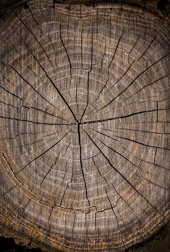 فرشینه و قالیچه فانتزی مناسب آشپزخانه برند دفه کد DAL KT1274