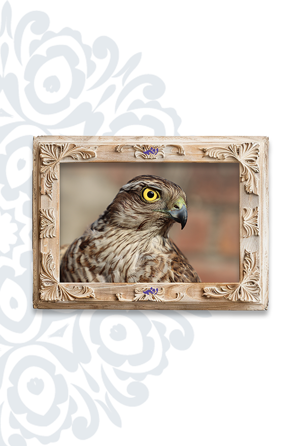 تابلو فرش ابریشم ماشینی برند دفه کد TEF 330