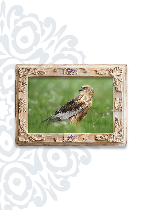 تابلو فرش ابریشم ماشینی برند دفه کد TEF 331