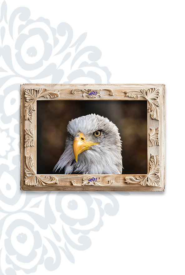 تابلو فرش ابریشم ماشینی برند دفه کد TEF 332