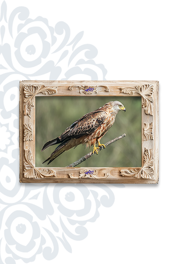 تابلو فرش ابریشم ماشینی برند دفه کد TEF 333