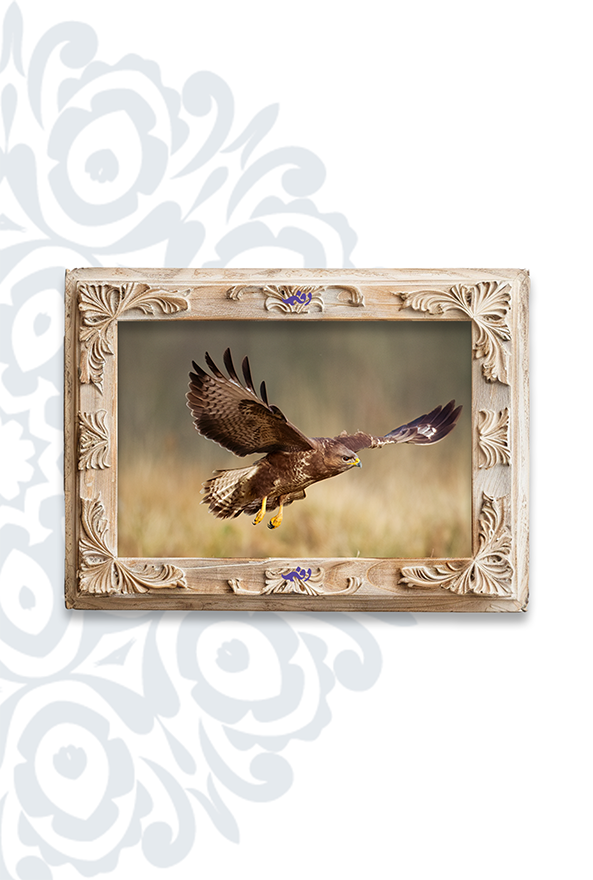 تابلو فرش ابریشم ماشینی برند دفه کد TEF 334