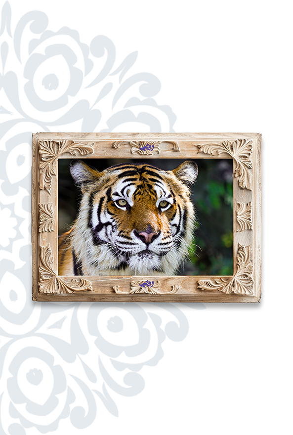 تابلو فرش ابریشم ماشینی برند دفه کد TEF 339