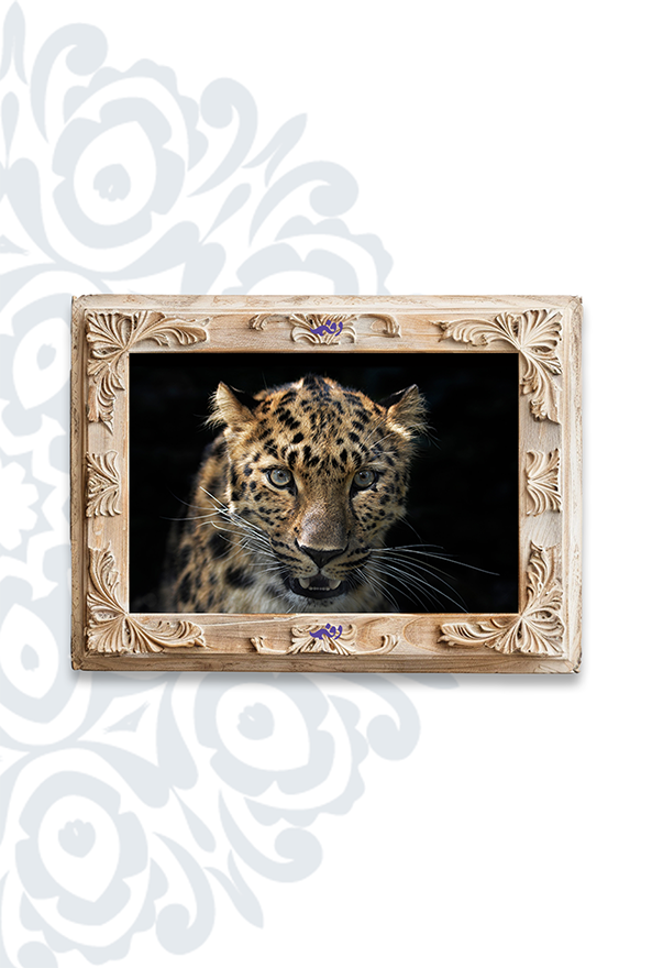 تابلو فرش ابریشم ماشینی برند دفه کد TEF 340