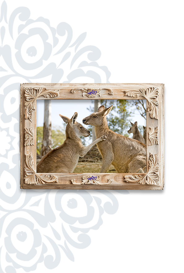 تابلو فرش ابریشم ماشینی برند دفه کد TEF 397