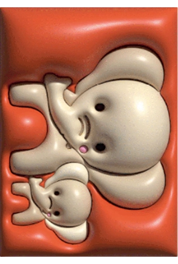 فرشینه و قالیچه فانتزی مناسب اتاق کودک سه بعدی (3D) برند دفه کد ZED KODAK 3D 633