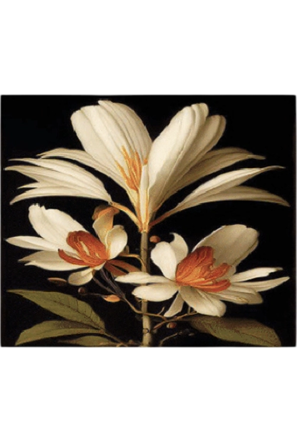 فرشینه مدرن مربع مناسب حال و پذیرایی برند دفه کد ZED MORABAH 779