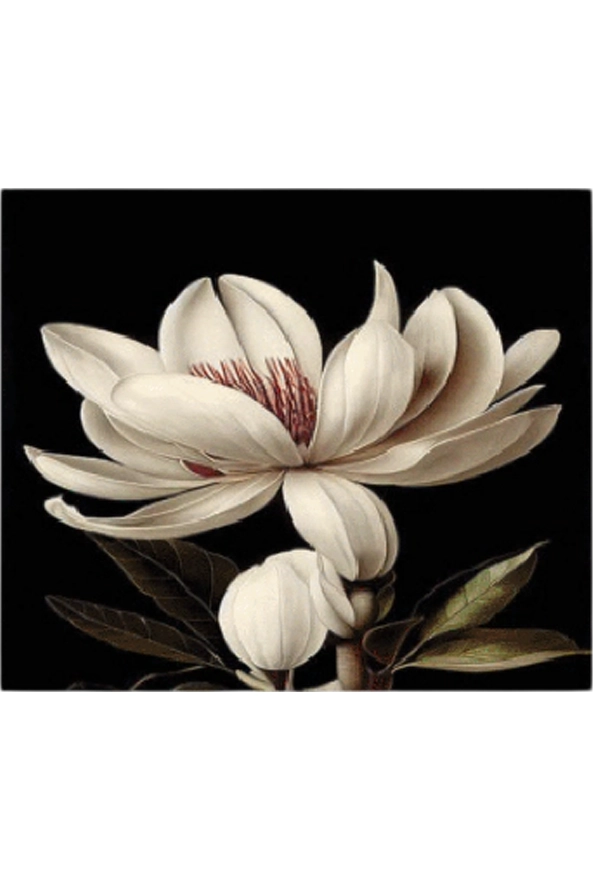 فرشینه مدرن مربع مناسب حال و پذیرایی برند دفه کد ZED MORABAH 780