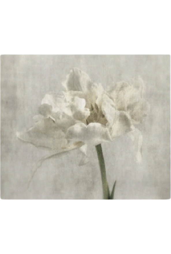 فرشینه مدرن مربع مناسب حال و پذیرایی برند دفه کد ZED MORABAH 789