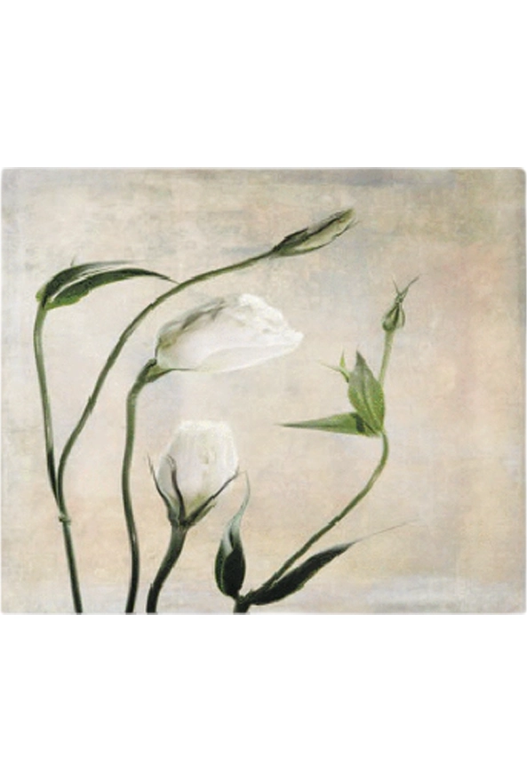 فرشینه مدرن مربع مناسب حال و پذیرایی برند دفه کد ZED MORABAH 792