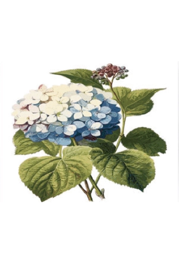 فرشینه مدرن مربع مناسب حال و پذیرایی برند دفه کد ZED MORABAH 796