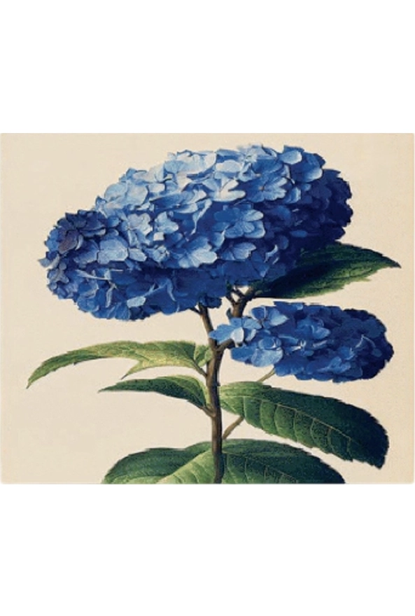 فرشینه مدرن مربع مناسب حال و پذیرایی برند دفه کد ZED MORABAH 800