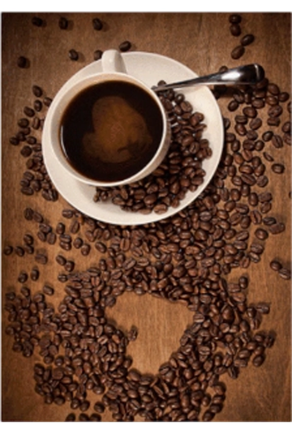 فرشینه و قالیچه فانتزی مناسب آشپزخانه برند دفه کد ZED APZ 815