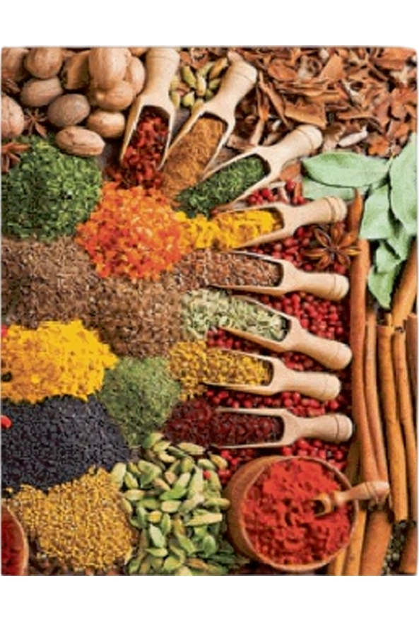 فرشینه و قالیچه فانتزی مناسب آشپزخانه برند دفه کد ZED APZ 826