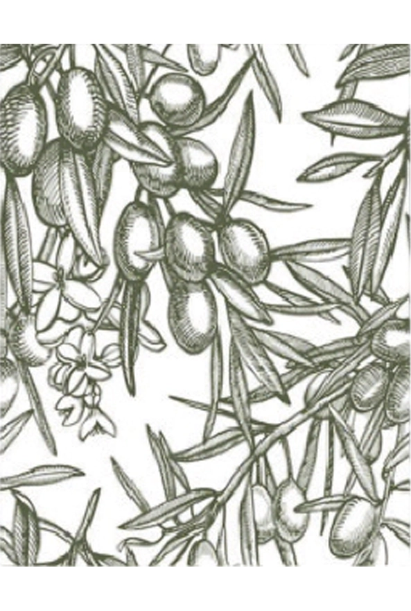 فرشینه و قالیچه فانتزی مناسب آشپزخانه برند دفه کد ZED APZ 844